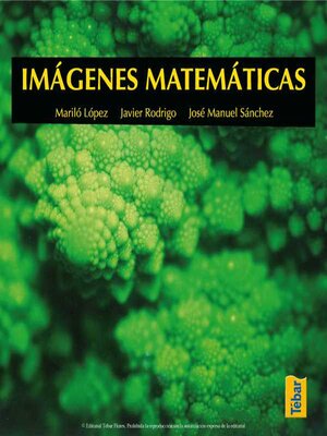 cover image of Imágenes matemáticas